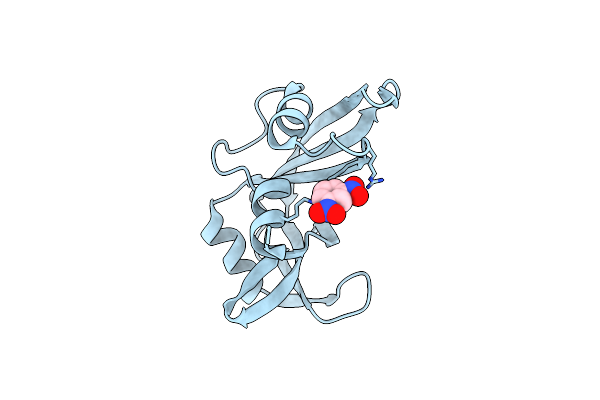 1RSM image