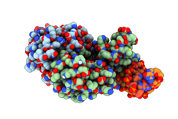 1RUO image