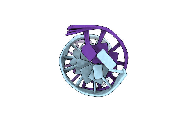 1RVI image