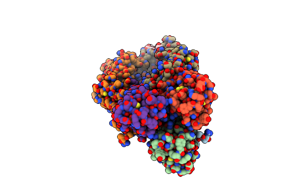 1RVT image