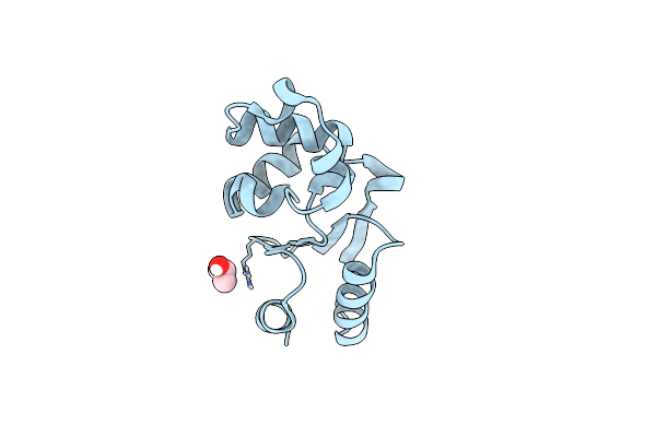 1RW1 image