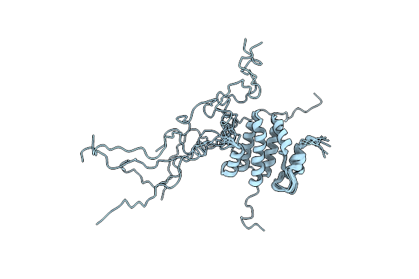 1RW2 image