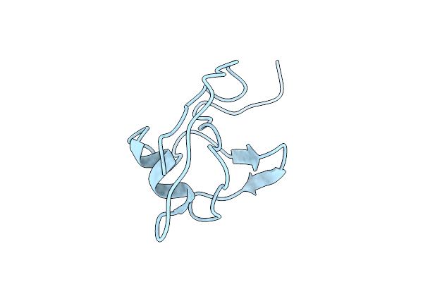 1RWS image