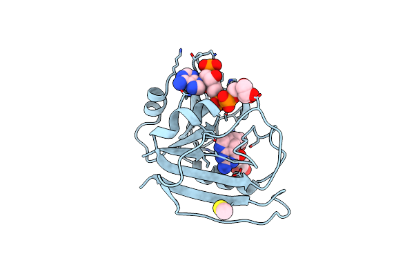 1RX4 image