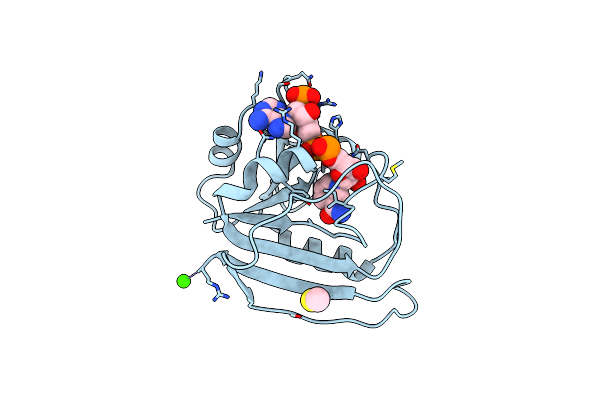 1RX9 image