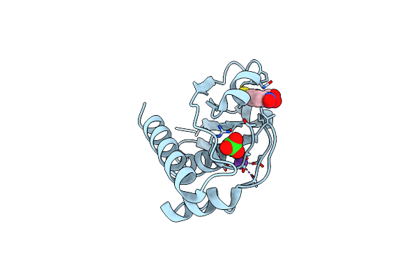 1RXE image