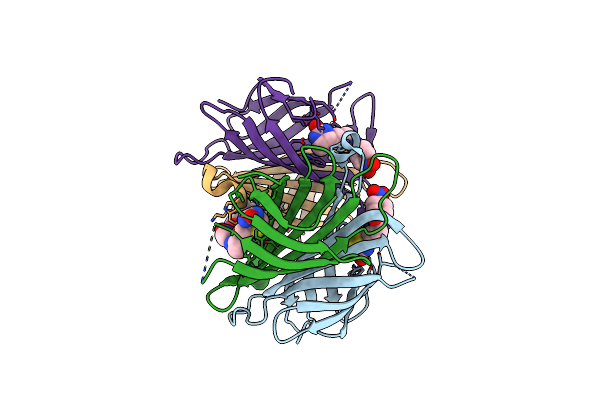 1RXJ image