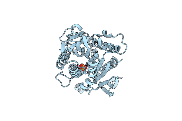 1RY6 image