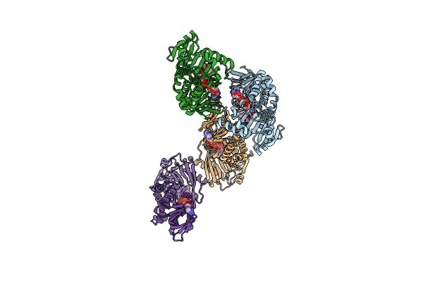 1RYI image
