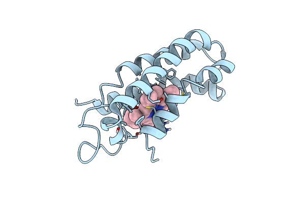 1S05 image