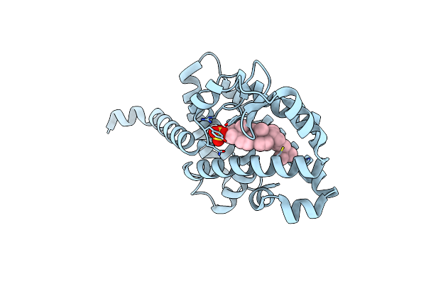 1S0X image