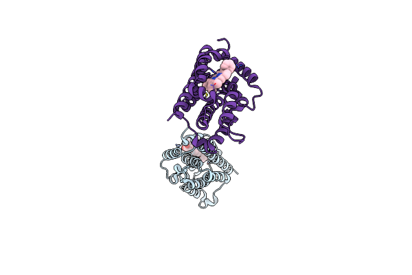 1S13 image