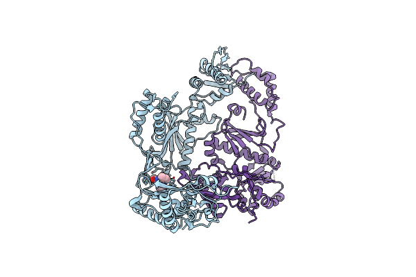 1S1U image