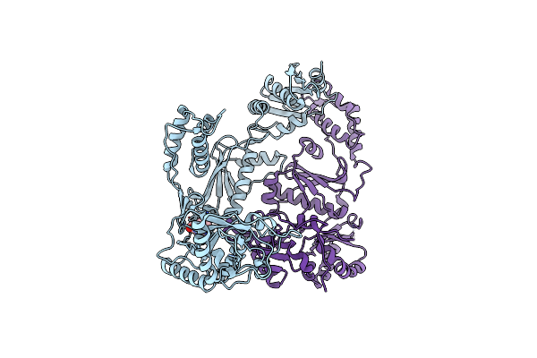 1S1X image