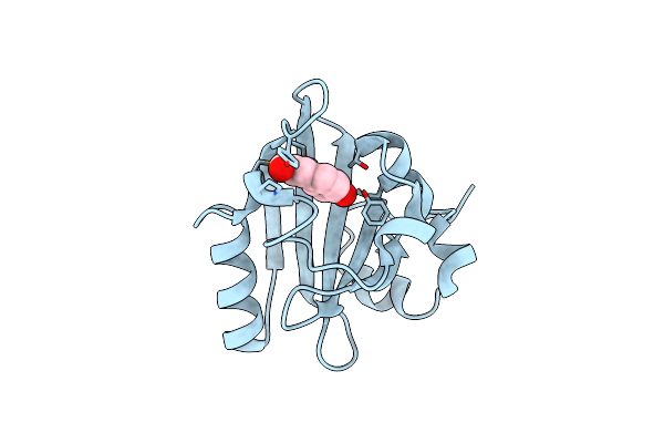 1S1Y image