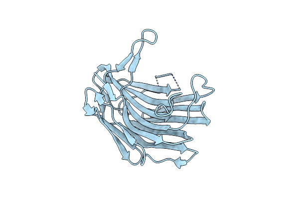 1S2B image