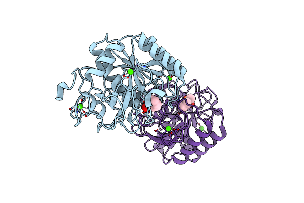 1S2N image