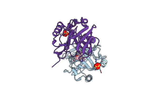 1S2P image