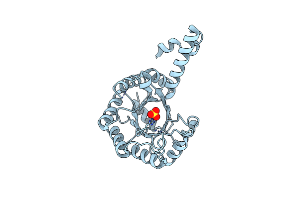 1S2W image