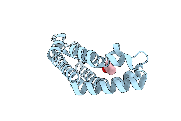 1S2X image