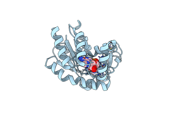 1S3G image