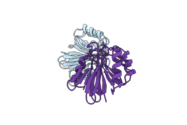 1S3N image