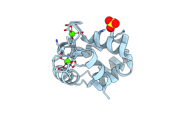 1S3P image