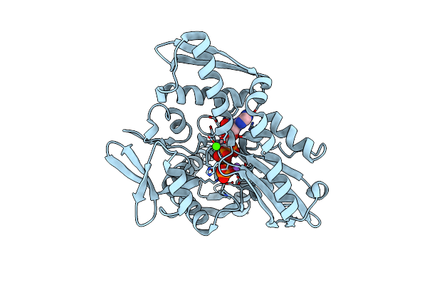1S3X image