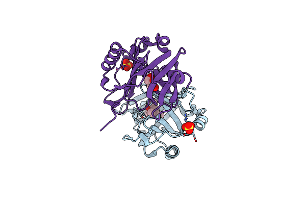 1S44 image