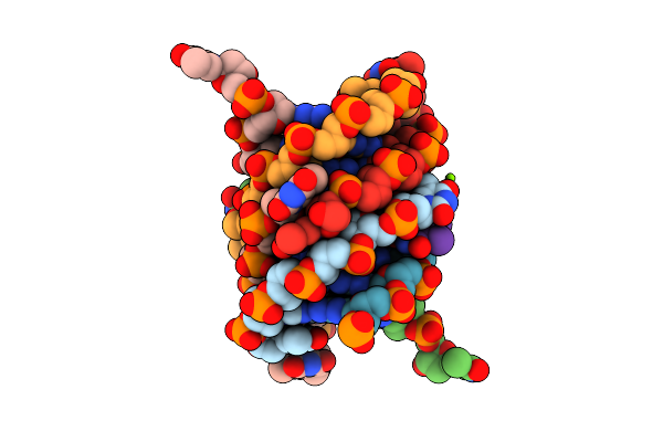 1S45 image