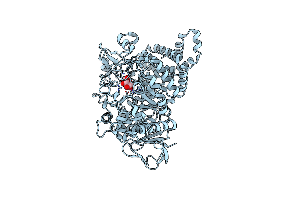 1S46 image