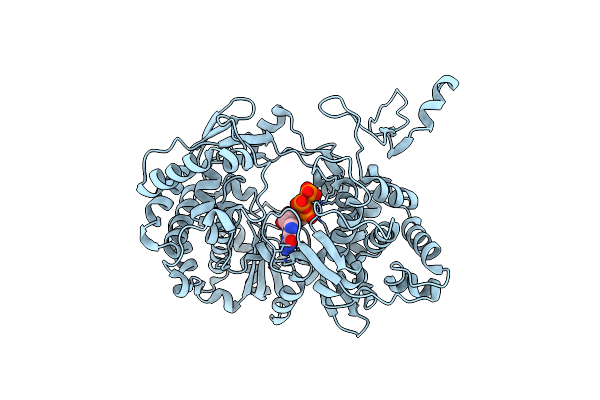1S49 image