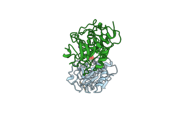 1S4V image
