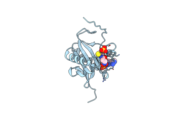 1S60 image