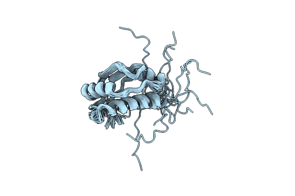 1S62 image