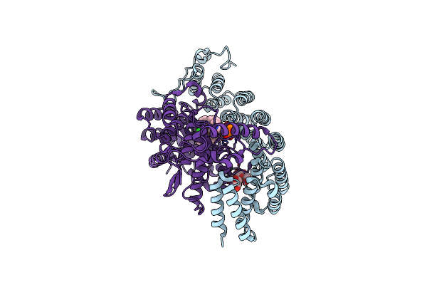 1S63 image