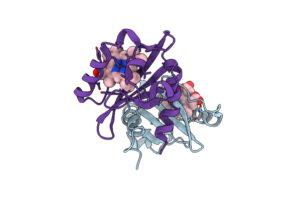 1S66 image