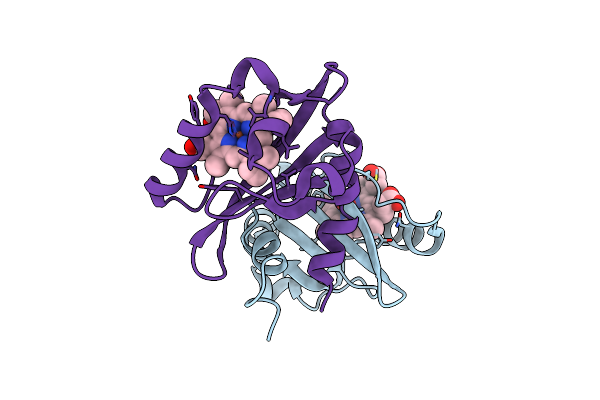 1S67 image