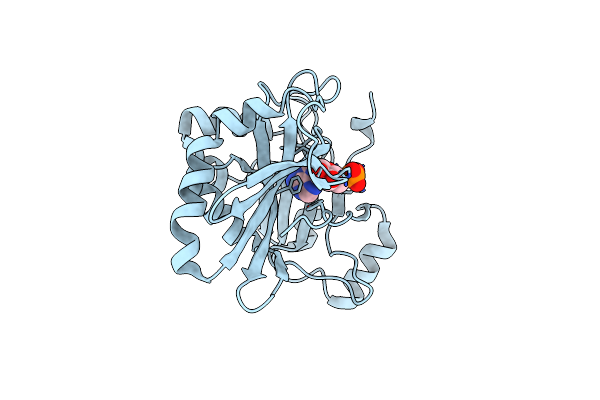 1S68 image