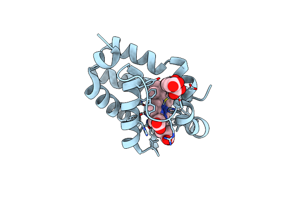 1S69 image
