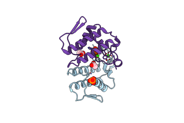 1S6B image