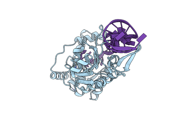 1S6M image