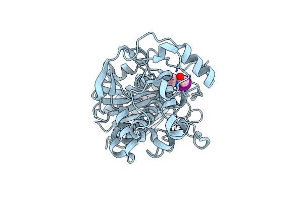 1S6R image
