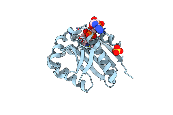 1S7L image