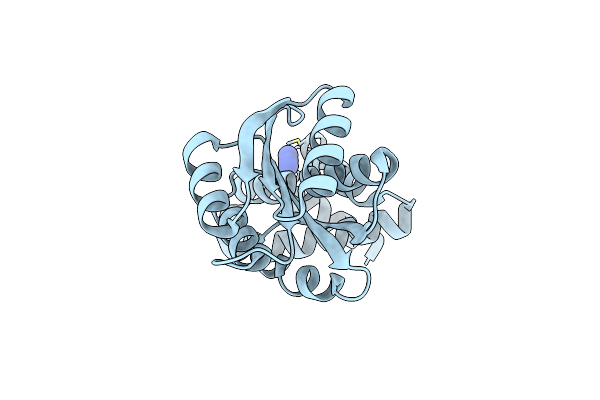 1S8N image