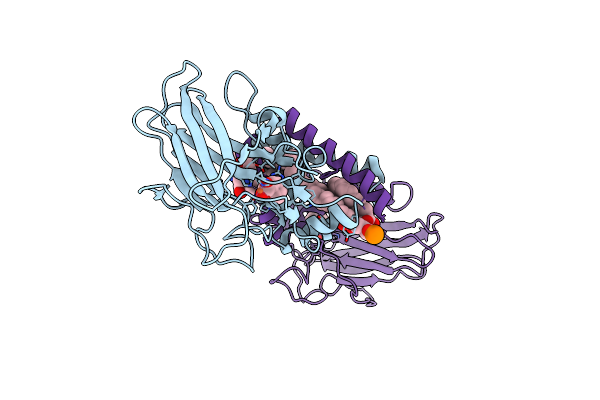 1S9A image