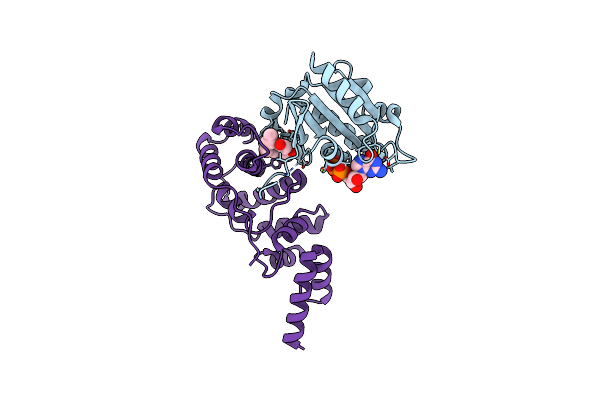 1S9D image