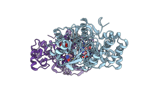 1S9R image