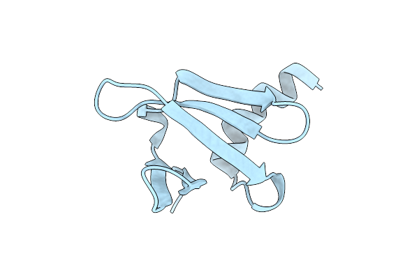 1SAP image