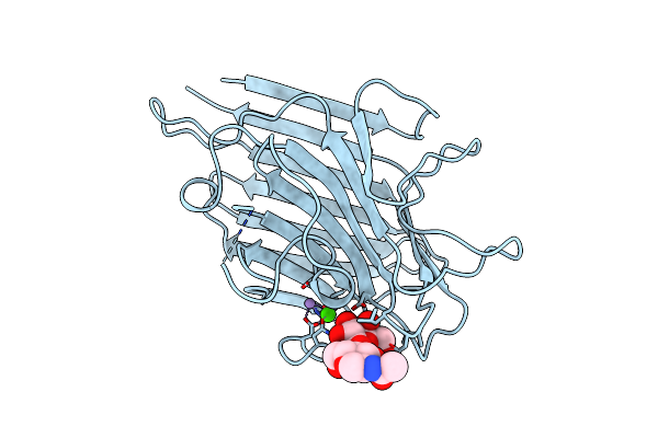 1SBD image